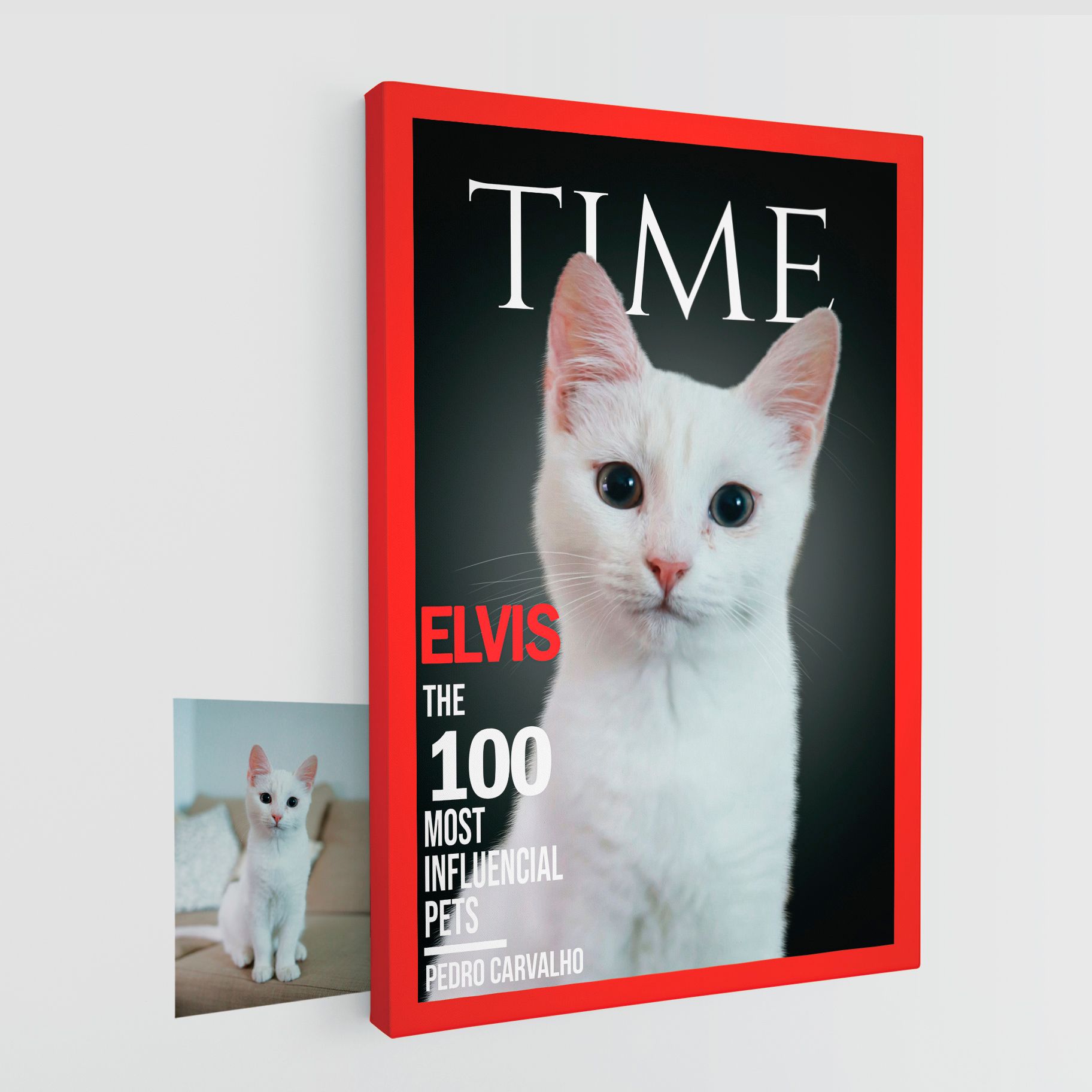 Retrato personalizado de animal de estimação em tela para a capa da revista Time.