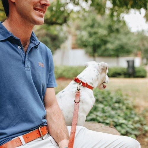 Coleira clássica de couro premium para cães, marrom