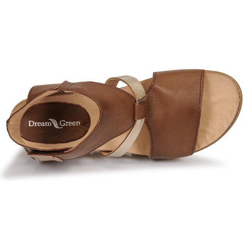 Dream in Green - IRATIMO - Marron