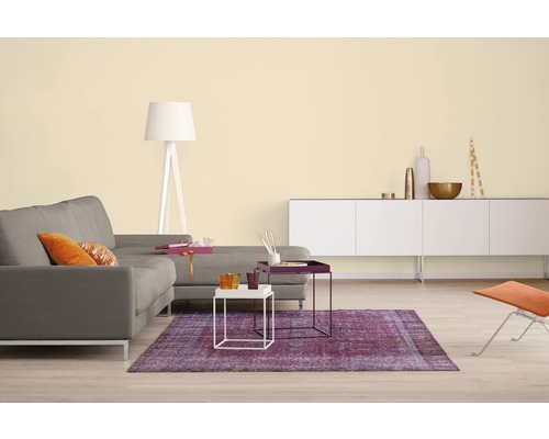 Alpina muurverf kleur recepten Sweet Home 2.5 l
