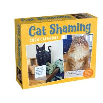 Cat Shaming 2024 Day-to-Day Calendar (Calendar)