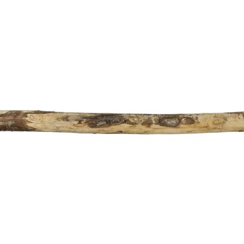 Tuinpaal rond kastanjehout Ø 6-8 cm, lengte ca. 180 cm