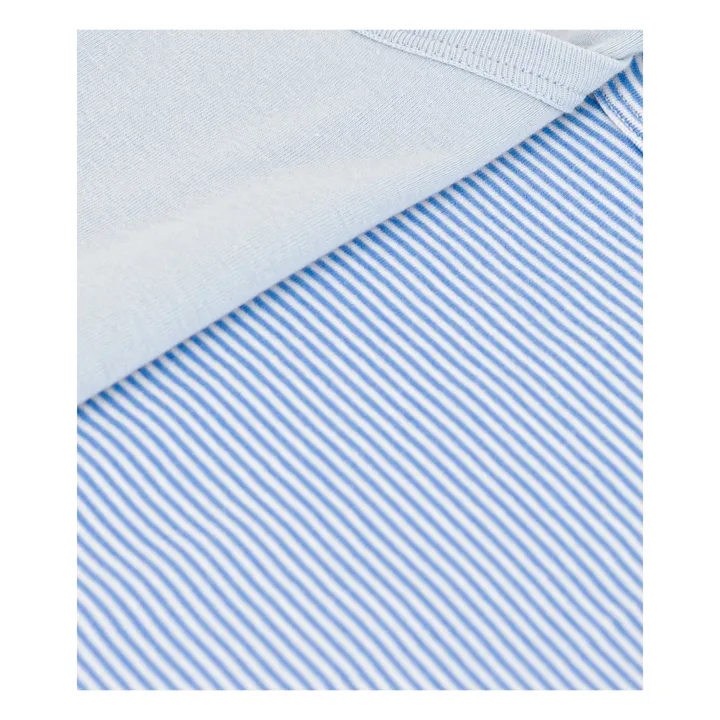 Petit Bateau Lot 2 T-shirts Rayés | Bleu