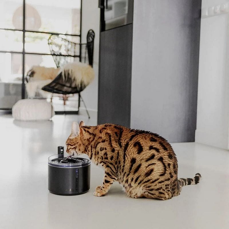 District 70 FLOW 2.2 L Draadloze Drinkfontein Hond Kat | Zwart | 15776.2