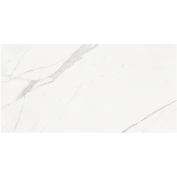 Wandtegel Essenza marmerlook 33,3 cm x 100 cm keramiek wit 2,00 m²