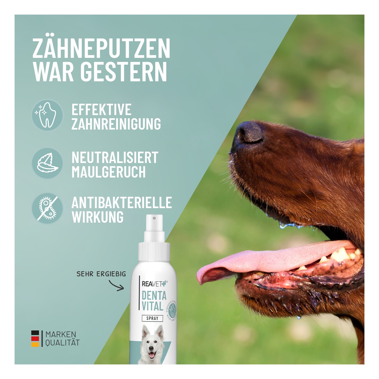 REAVET Denta Vital Spray 120ml