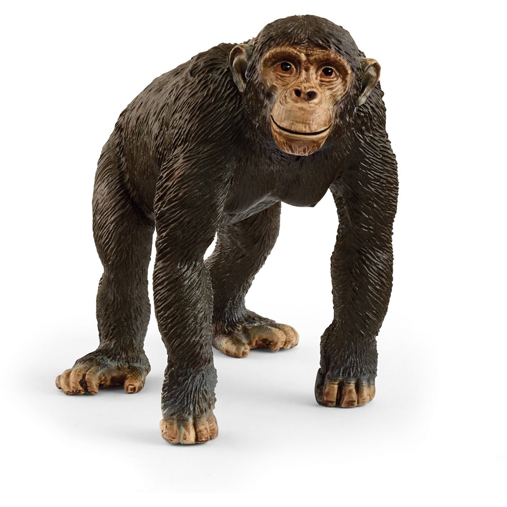 Køb Schleich Chimpanse