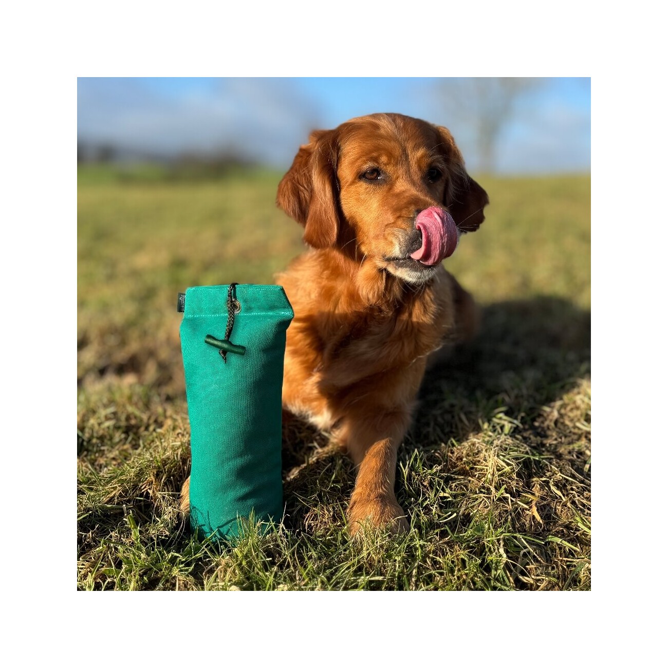 ROMNEYS Dummy 1,3 kg