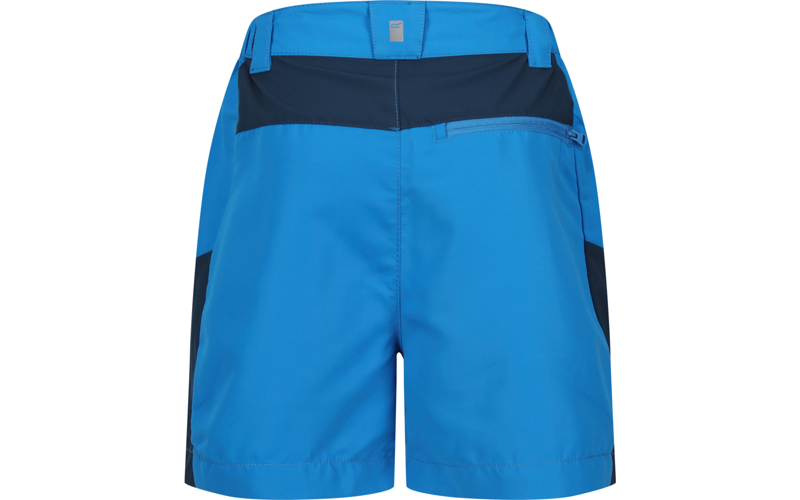 Regatta Sorcer Mountain III Kindershorts