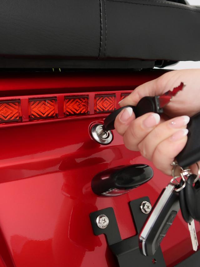 Kabinenroller Premium mit dem Dach und Wetterschutz, 1000 W, 25 km/h