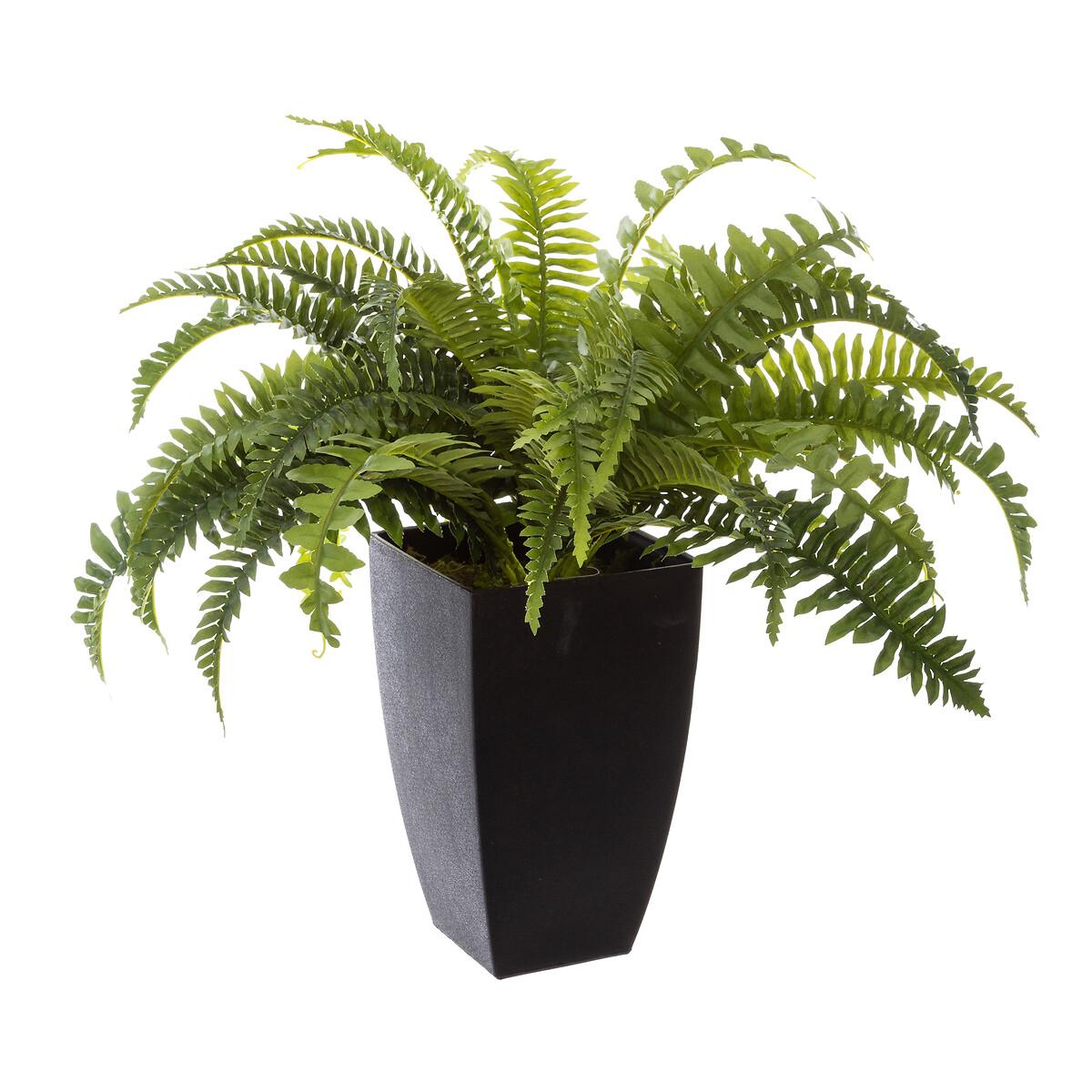 FOUGERE POT PLASTIQUE H.55CM