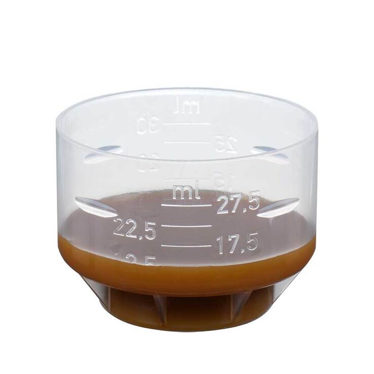 Freebalance Gerstengras-Birke Elixier Bio, 250 ml