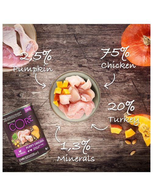 Wellness Core Grain Free 95 Puppy - Hondenvoer - Kip Kalkoen Pompoen 400 g