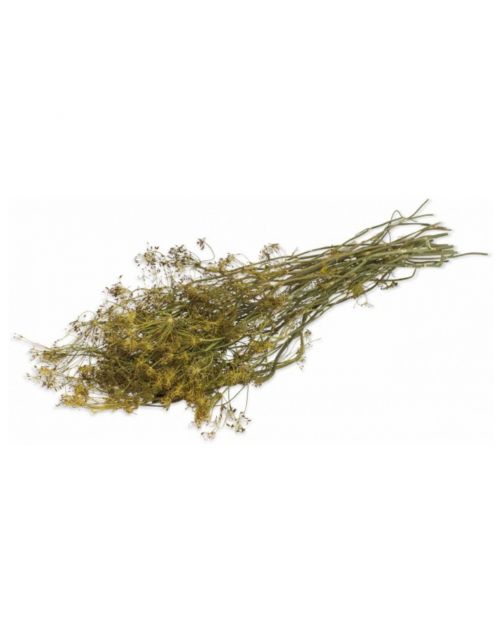 Jr Farm Dille-Oogst - Ruwvoer - 16x5x70 cm 80 g
