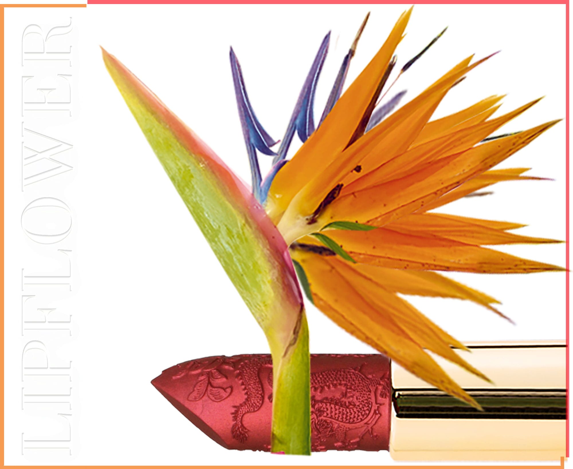 Shaoyun  Lip Flower Strelitzie Nr. 195, 3,60 g
