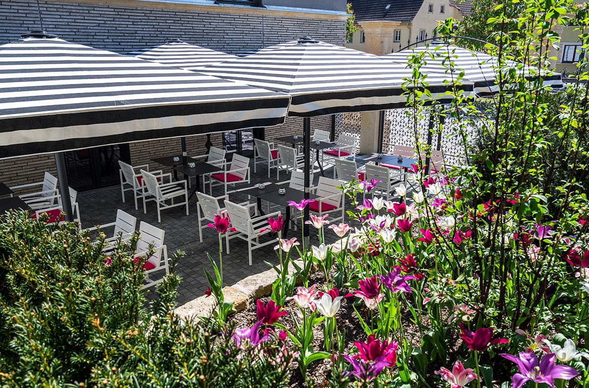 Kurzurlaub im Designhotel Pirna