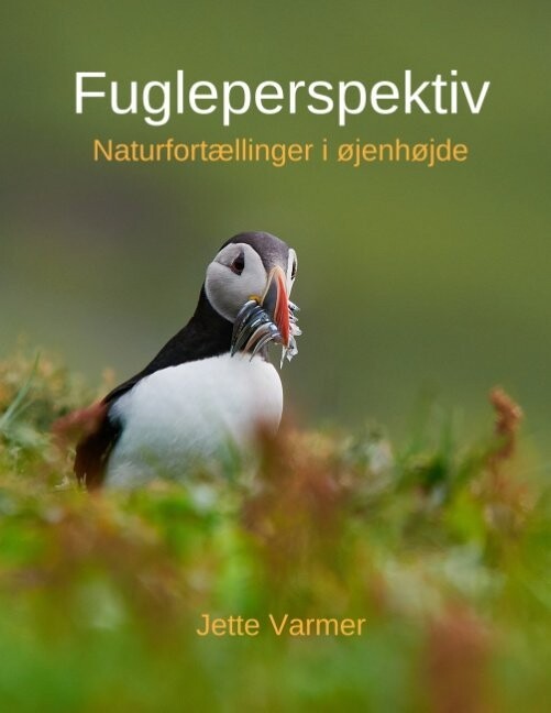 Fugleperspektiv - Jette Varmer - Bog
