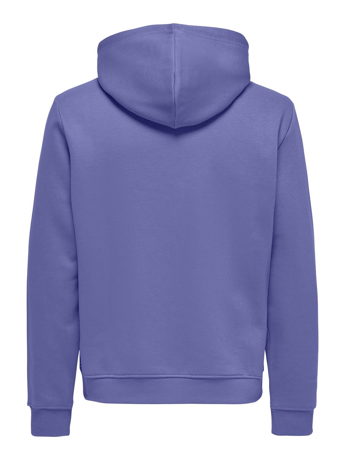 ONSCONNOR Sweatshirt Dusted Peri