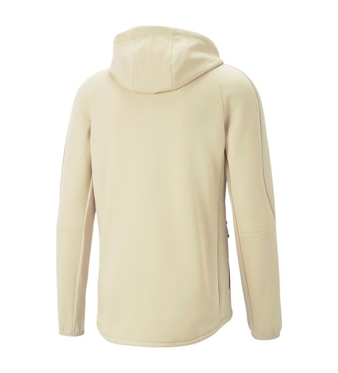 PUMA Men Evostripe Full-Zipp Hoodie