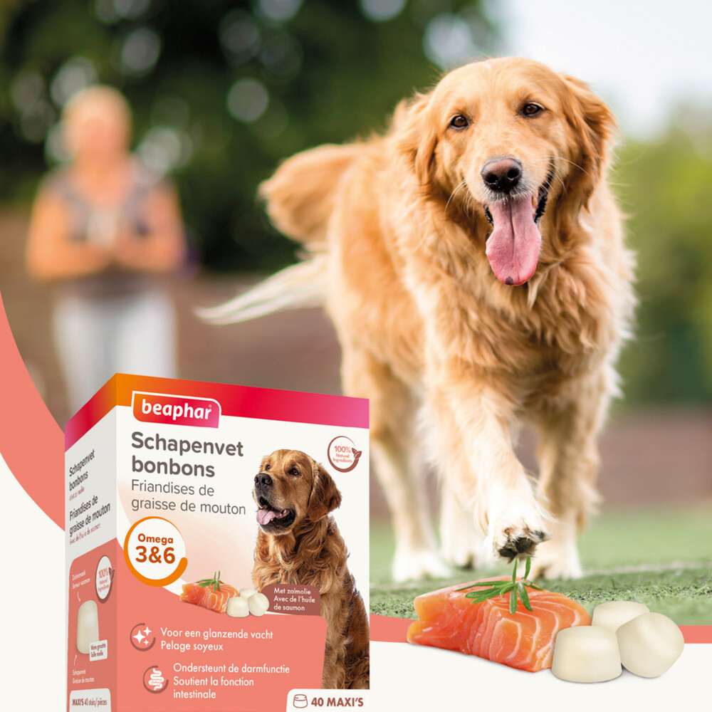 Beaphar Schapenvet Bonbons Zalm245 gr