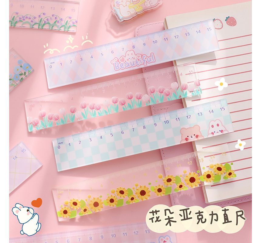 Hekki - Cartoon Acryl Liniaal (diverse designs) / Set