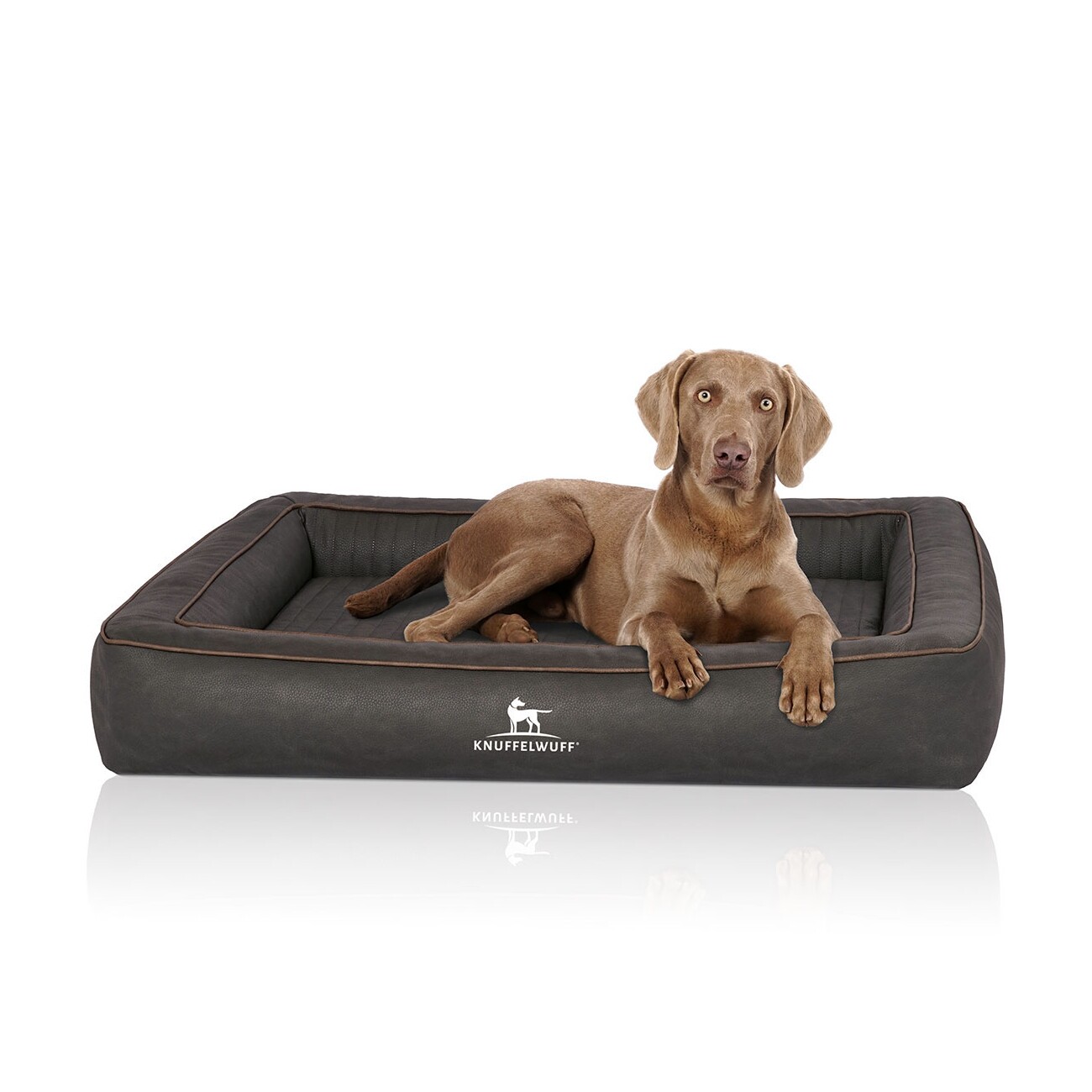 Knuffelwuff Orthopädisches Hundebett aus Laser gestepptem Kunstleder Montego schwarz M-L