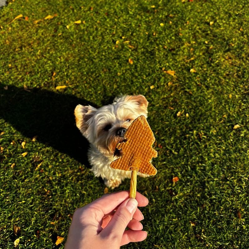 Dierapotheker Kerstboom Kerst Snack Hond 3 stuks | Konijn | 13383.1