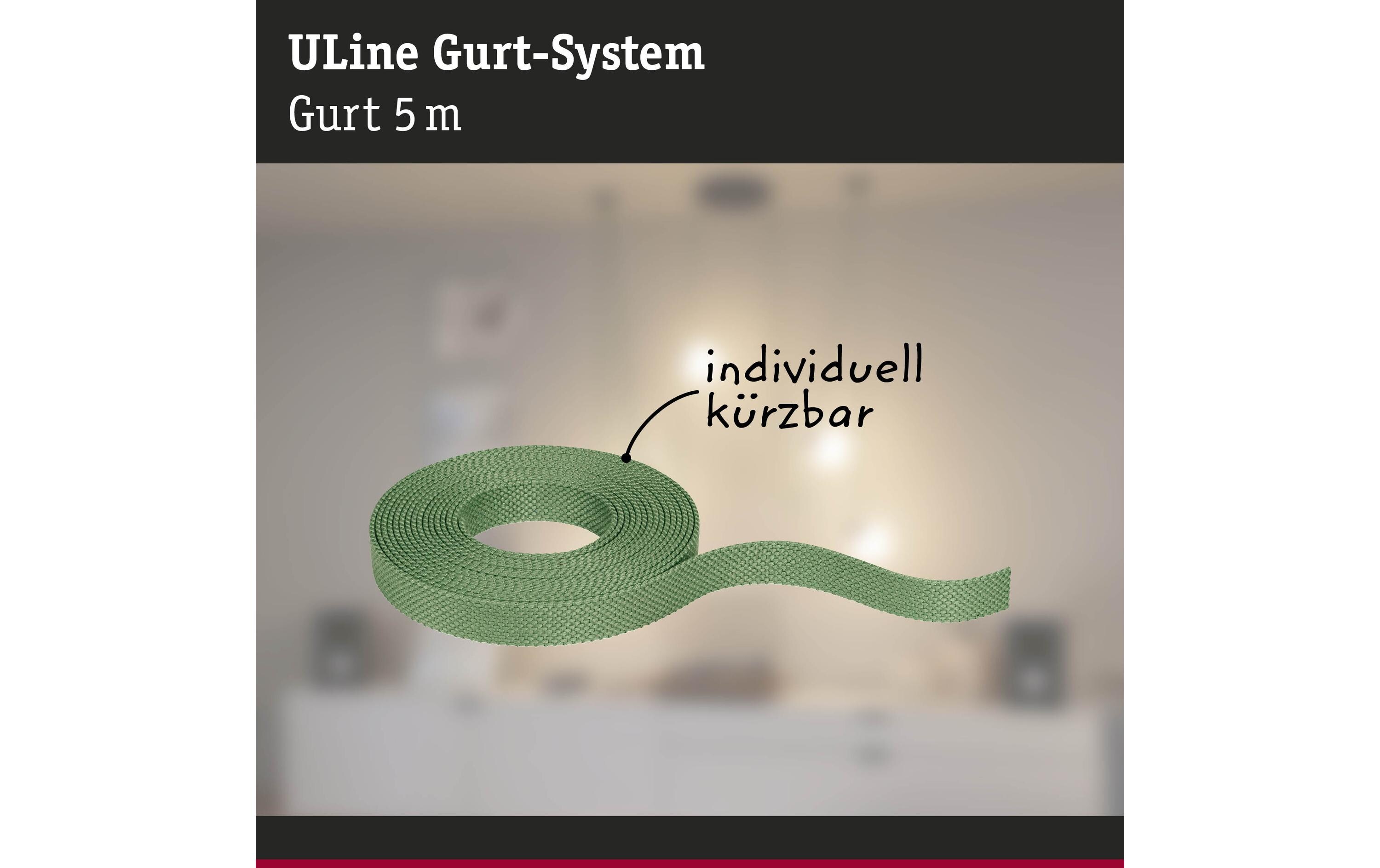 Gurt ULine 5 m, Dacron, GrünGurt-System als eine innovative Lösung für einzigartige Lichterlebnisse