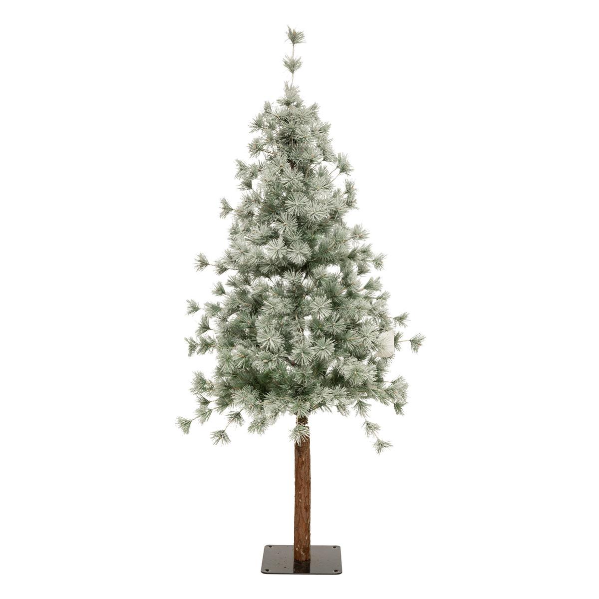 SAPIN NORDSTAR H.150CM