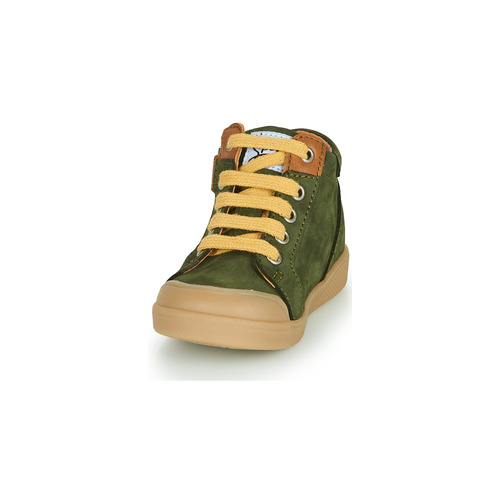 GBB - TIMOTHE - Vert