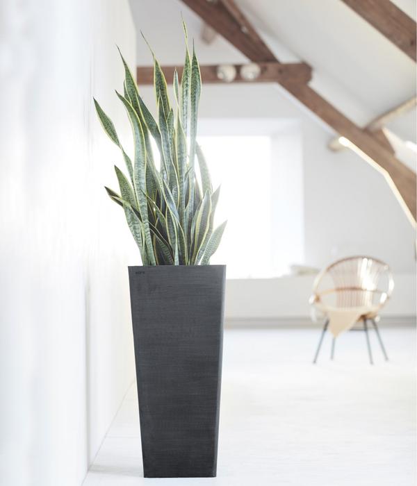 Ecopots Kunststoff-Topf Rotterdam Hoch,