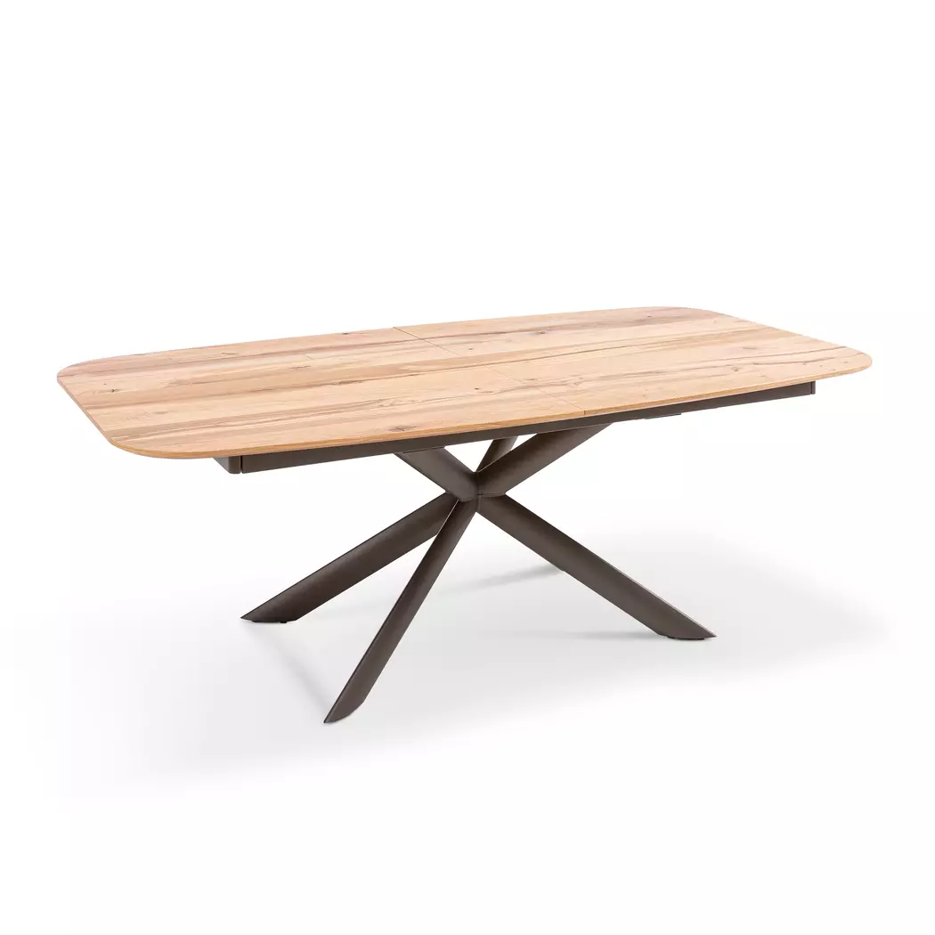 Esstisch Dalo 220 x 110 cm