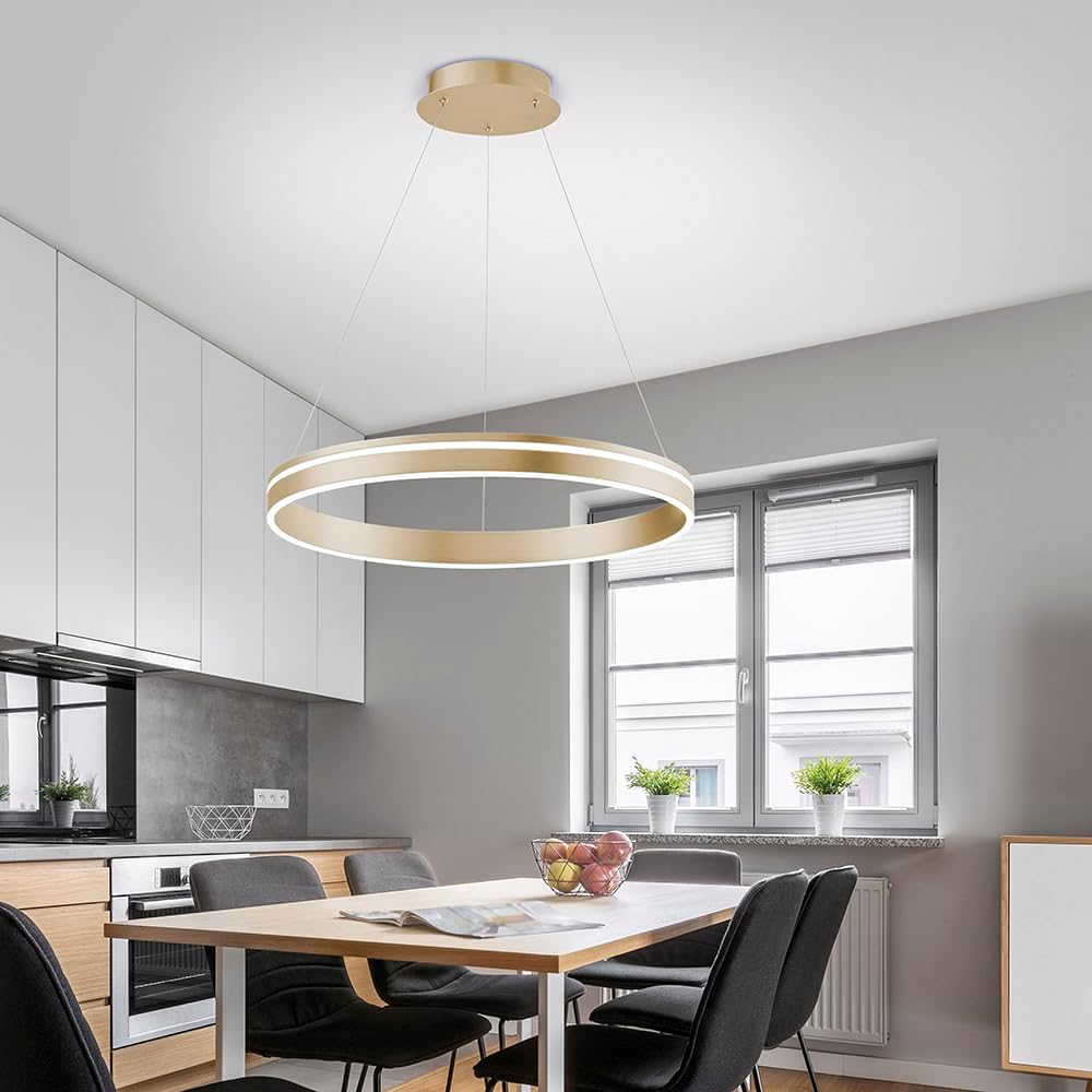 Paul Neuhaus Q-VITO LED Pendelleuchte, Works with Alexa – Smart Home, Fernbedienung CCT warmeiß – kaltweiß (59cm Messing)