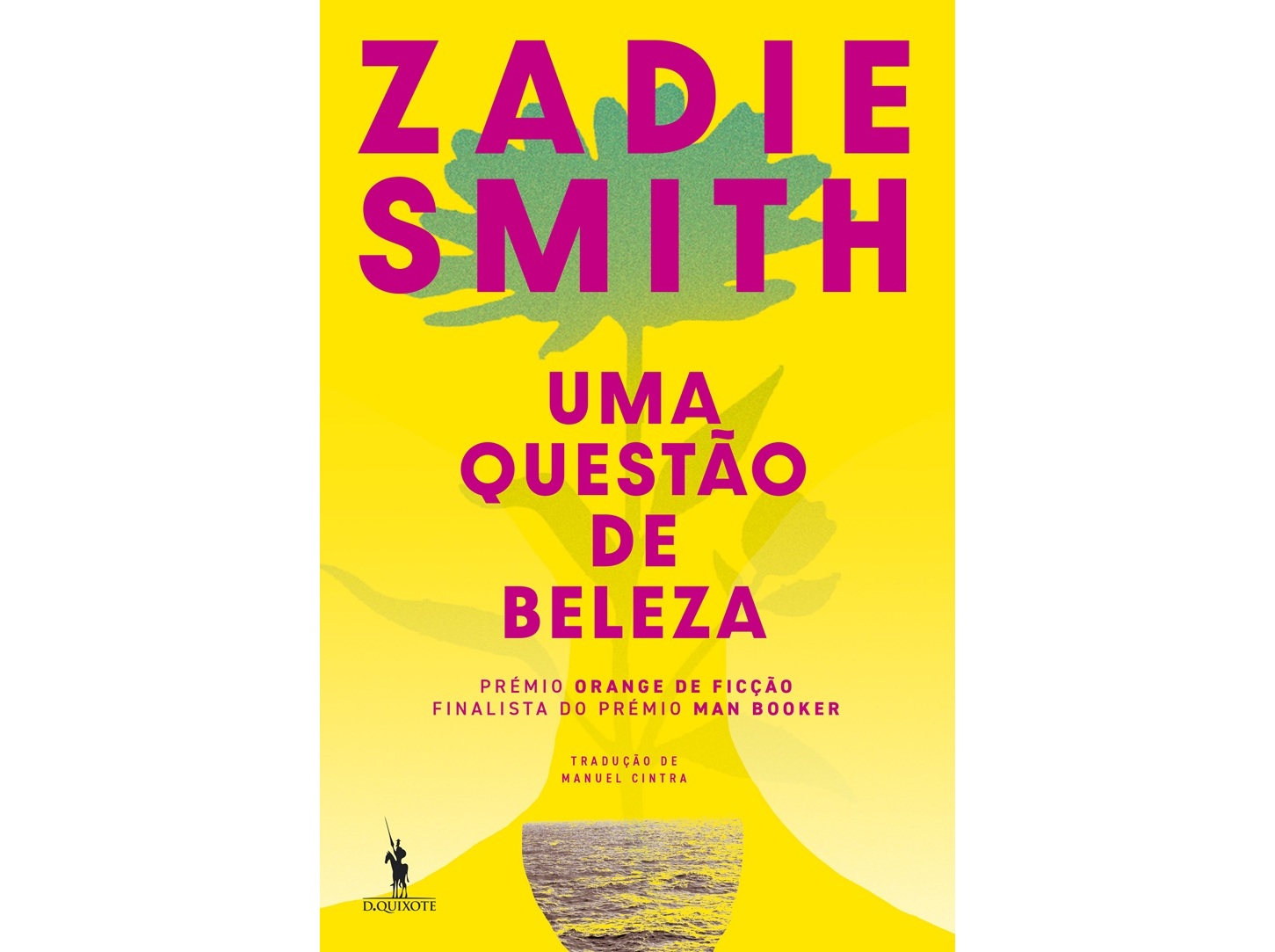 LIVRO UMA QUESTÃO DE BELEZA DE: ZADIE SMITH