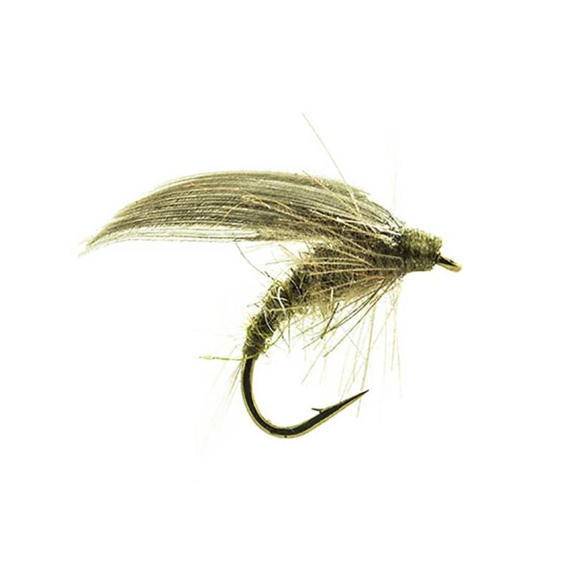Mouche Devaux Ephemere Ornans 10