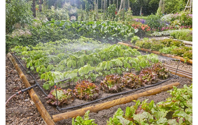 GARDENA Bewässerungssystem »Tropfbewässerung« ()