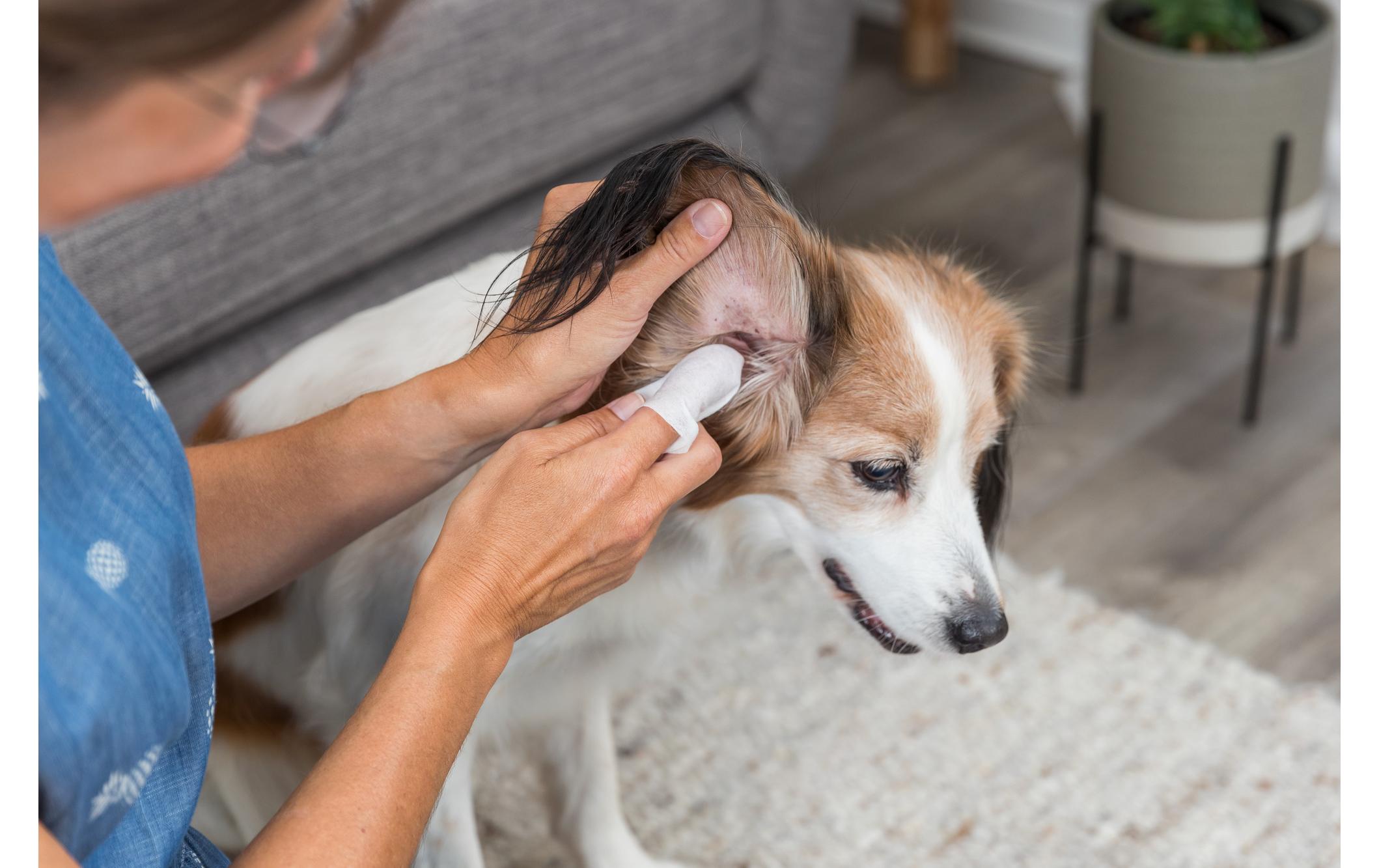Ohrenreiniger Tücher, 30 StückOhrenpflege für Hunde, Katzen und andere Kleintiere