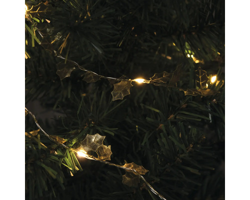 LED-lichtsnoer Lafiora 