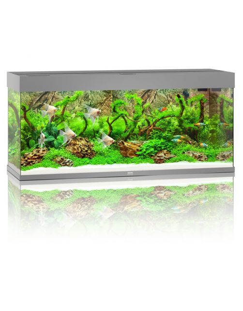 Juwel Aquarium Rio 240 Led 121x41x50 cm - Aquaria