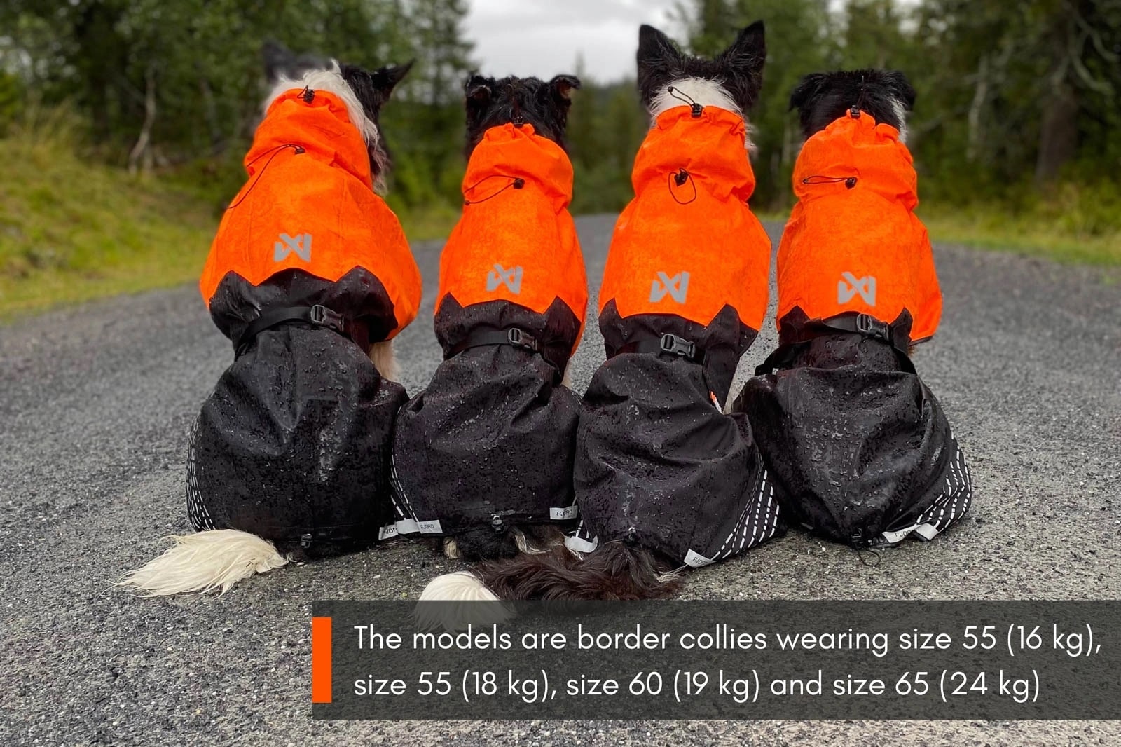 Non-Stop Dogwear Fjord Raincoat<br> Vanntett og pustende regndekken!