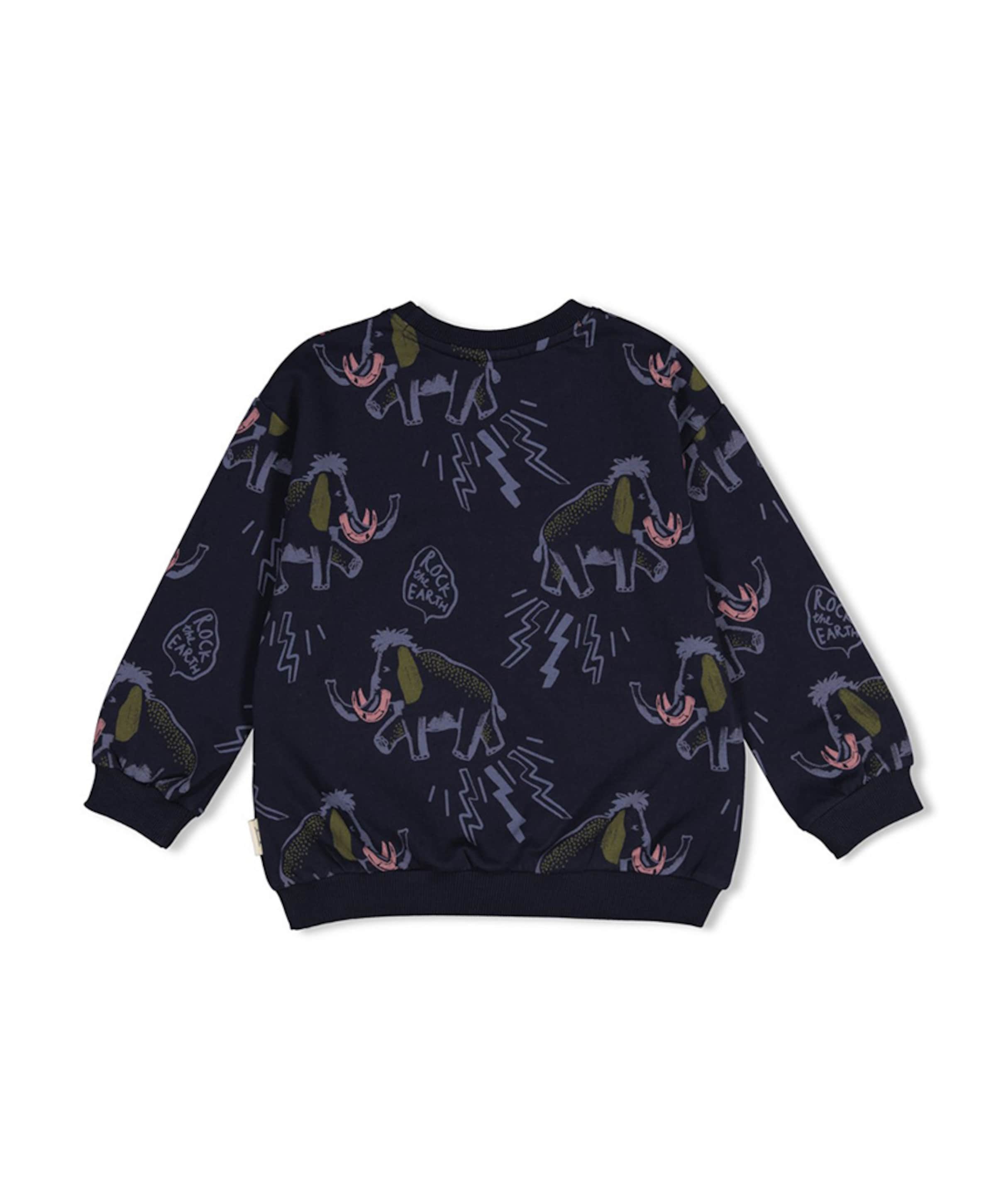 Sturdy Jongens sweater blauw