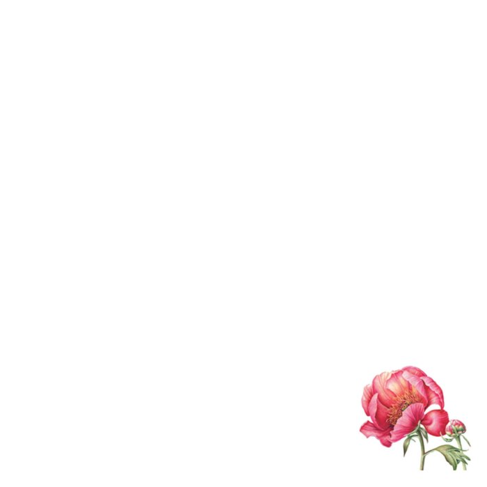 Bedankt kaartje | Bloemen | Vlinder | Groen