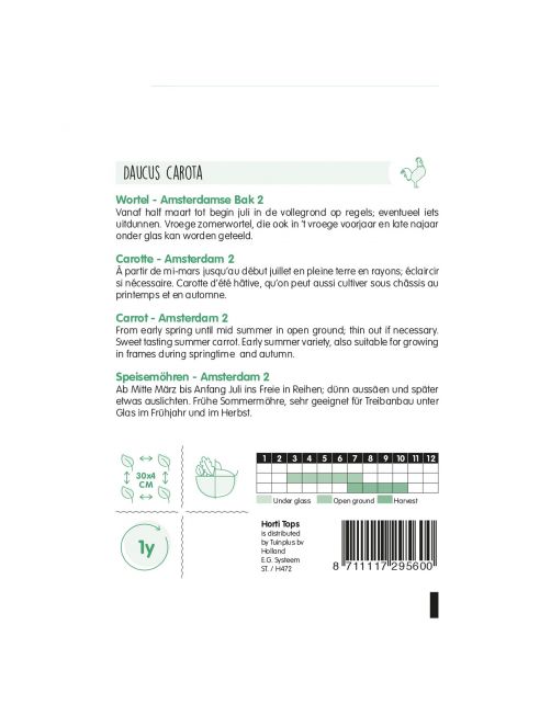 Hortitops Wortelen Amsterdamse Bak 2 - Groentezaden - 10 g