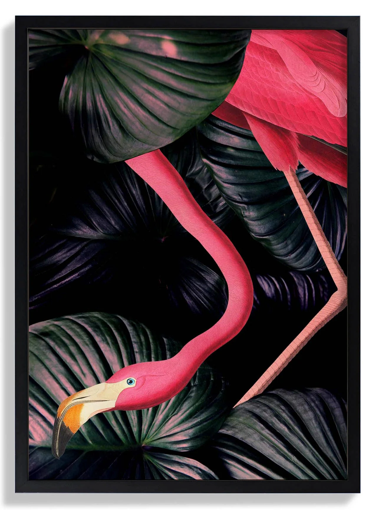 Amerikanischer Flamingo im Dschungel-Tierdruck