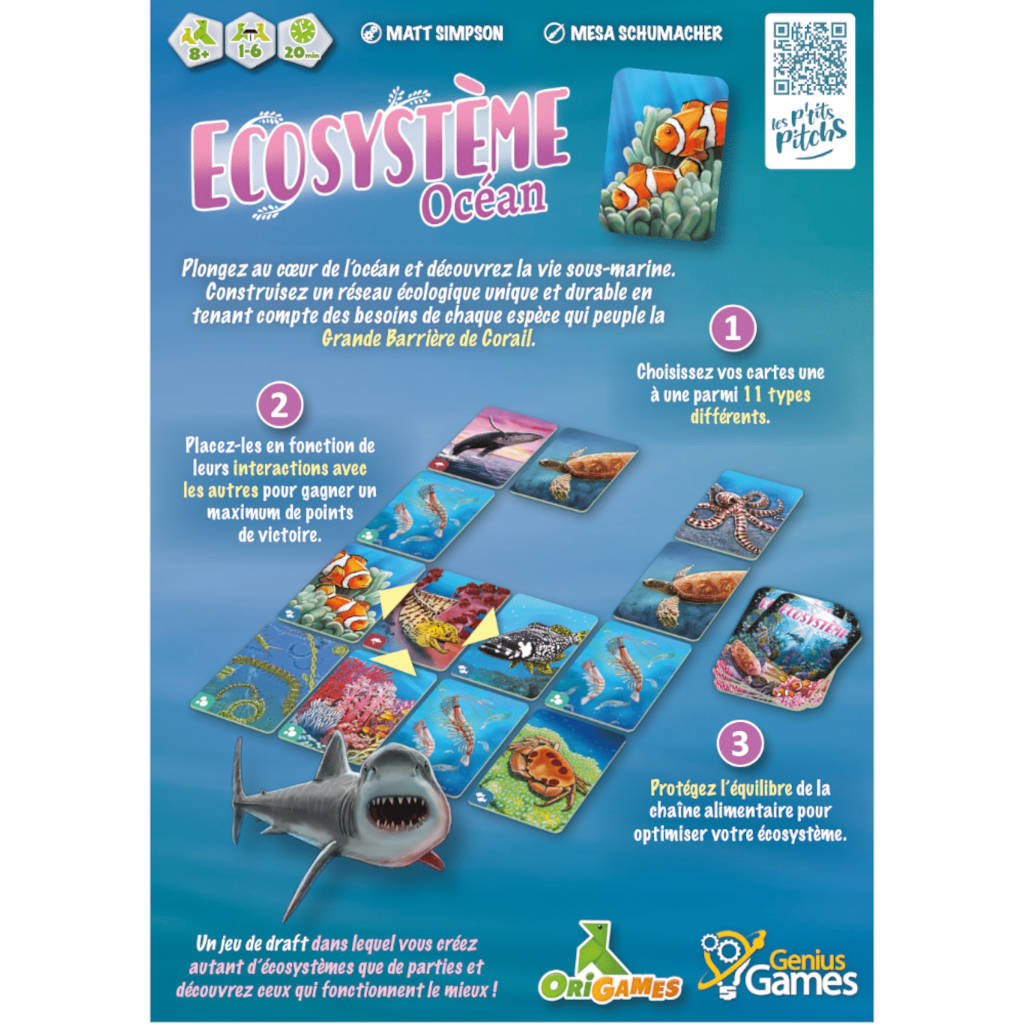 Ecosystème - Océan