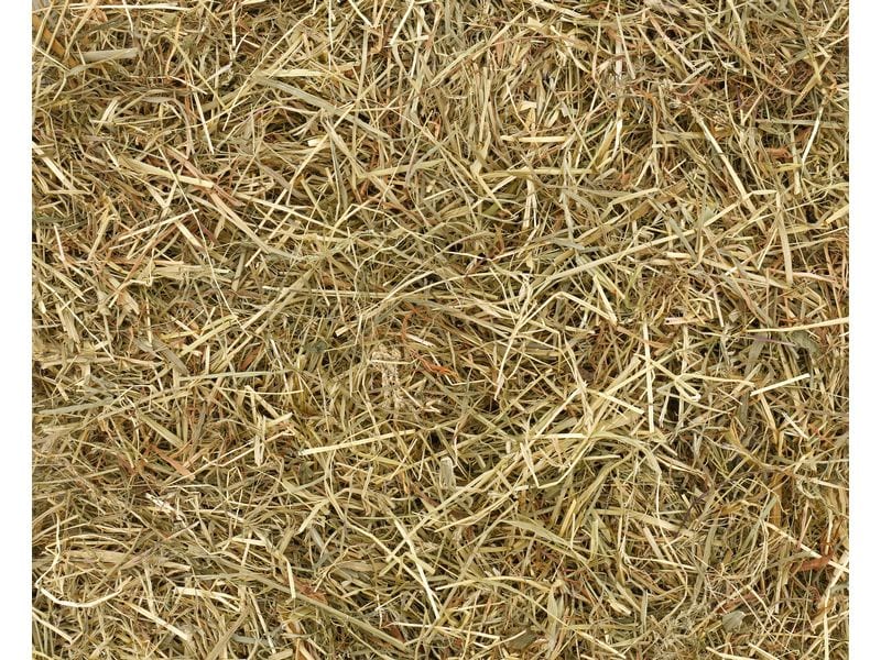 Eric Schweizer Wiesenheu, 4 kg Schweizer Wiesenheu für Nagetiere