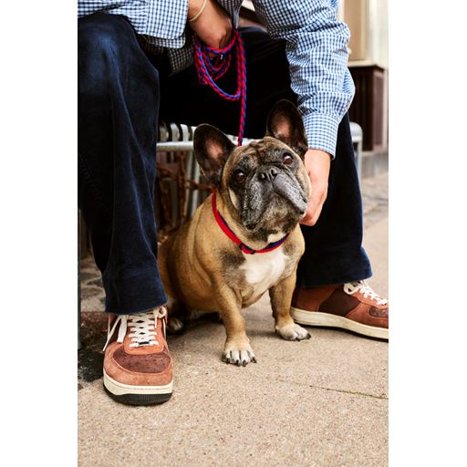 HAY Dog Braided Hundesnor, Red/Blue
