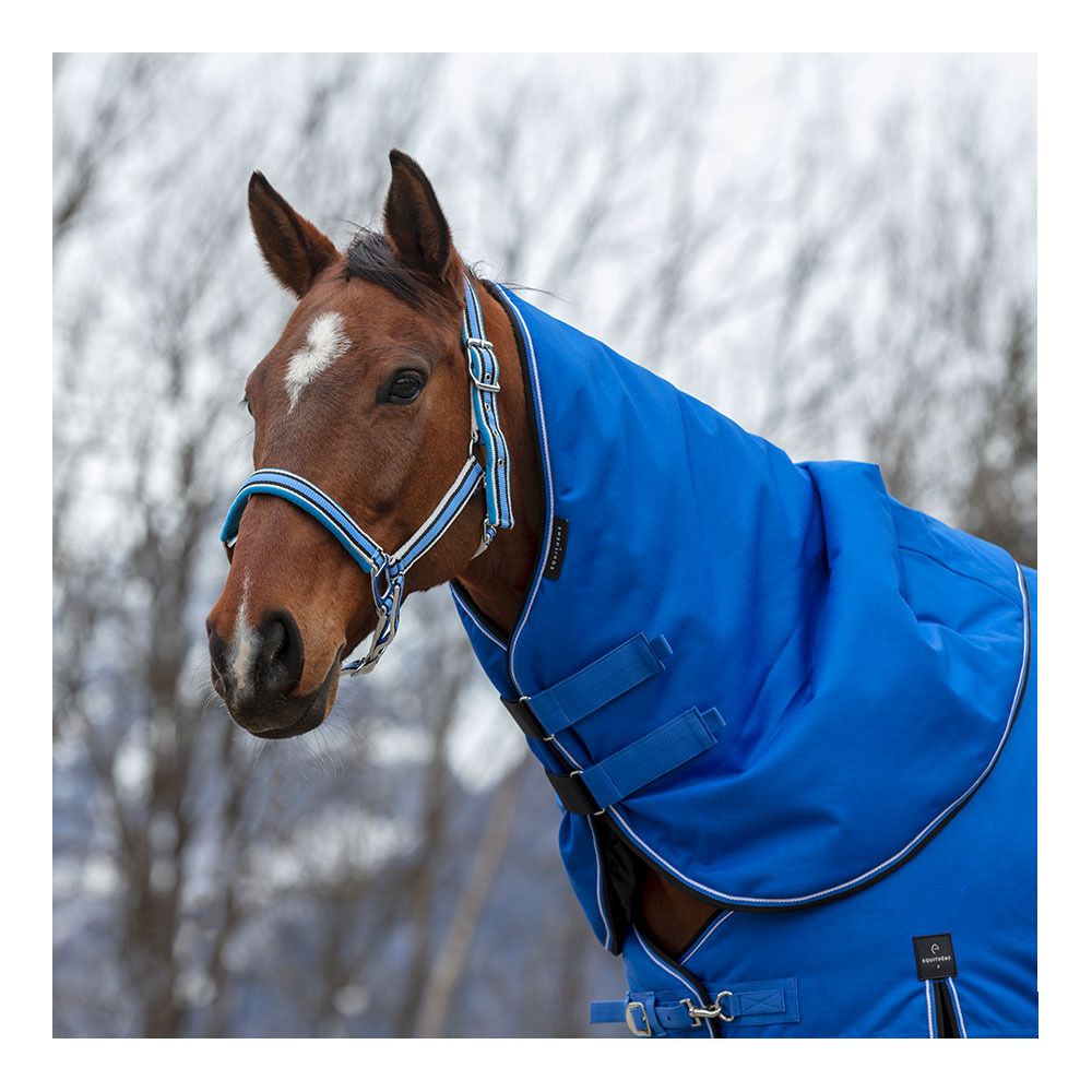 Equitheme TYREX 1200D 200G - Couvre-cou bleu/nr