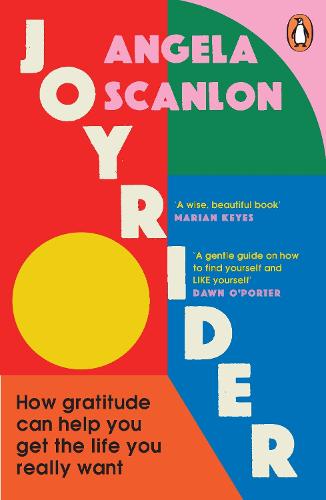Joyrider (Paperback)