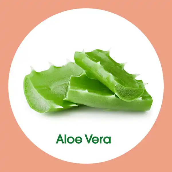 Flüssige Handseife Aloe Vera Nachfüllbeutel